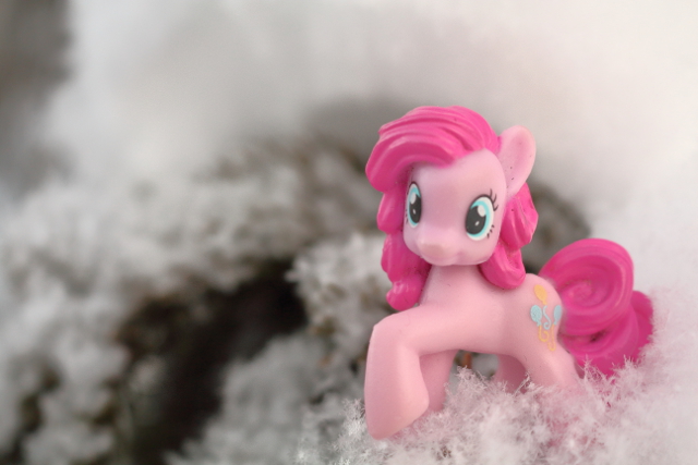 Pinkie at winter time